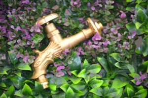 Grifo Decorativo de Latón con Forma de León de 1/2 pulgada |   Diseño de Lujo para Exteriores |   THS Thermostyle ® - Product Image 5