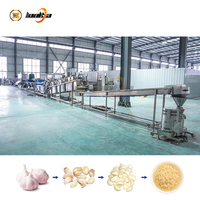 Machine industrielle de traitement de la purée de gingembre et d'ail, ligne de production de pâte d'ail broyée