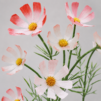 Fleurs artificielles géantes Cosmos rose, ensemble sur pied, pour mariage, Noël, remise de diplôme, célébrations festives, faites à la main