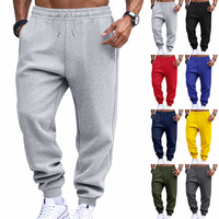 Pantalon de jogging pour homme, léger, en polaire mi-épaisseur, style sportswear classique, décontracté, avec taille élastique et cordon de serrage, poches