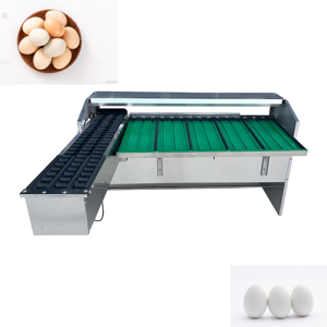 Excelente Máquina Clasificadora y Empacadora de Huevos, Máquina Clasificadora de Huevos Mecánica, Máquina Clasificadora de Huevos <span class=keywords><strong>Moba</strong></span> - Product Image 3