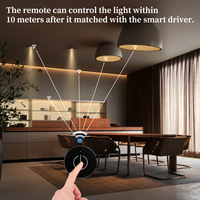 Interrupteur Tactile LED Sans Fil pour Armoire avec Capteur de Luminosité et Télécommande Intelligente Longue Portée