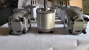 Pompe à engrenages haute performance série CBN CBN-F304 CBN-F306 Pompe hydraulique CBN-F310 CBN-F314 CBN-F316 CBN-F320 CBN-F325 - Product Image 2