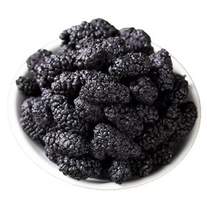 Contoh gratis murbei hitam kering murbei