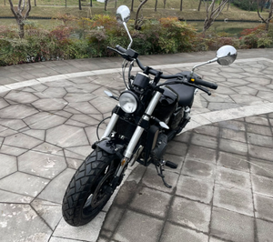 Approvisionnement d'Usine Moto Benelli Originale Panshou 250, Style Cruiser Classique Moteur 250cc - Product Image 5