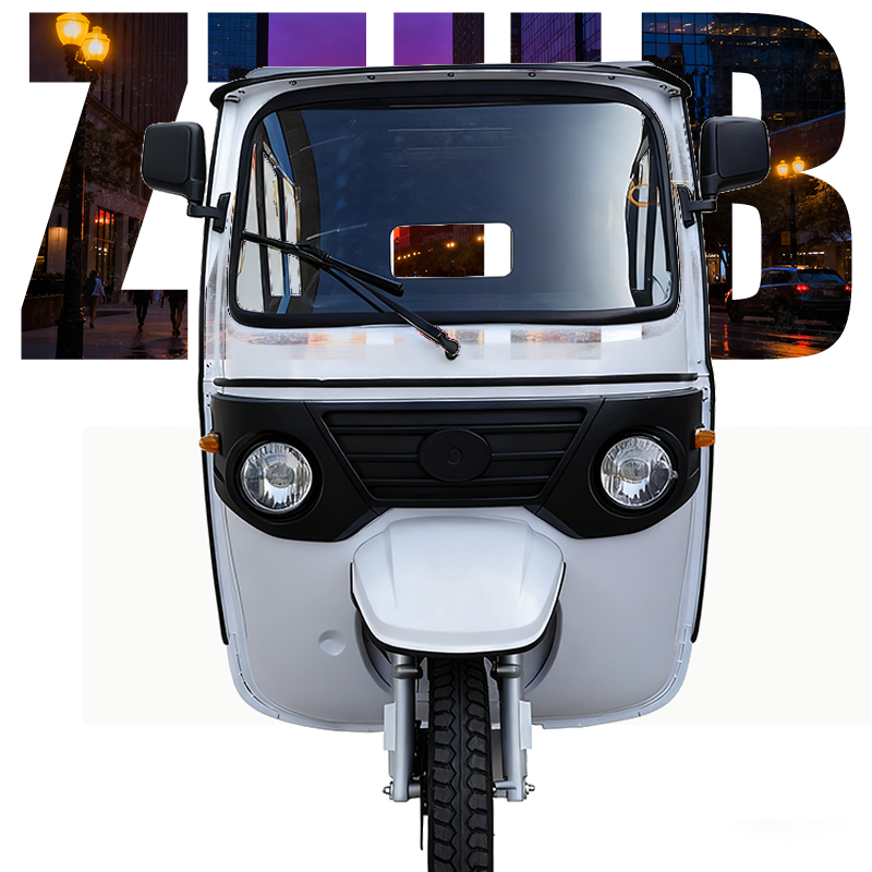 Electric Taxi E Trike 850W Motor, 48V Battery