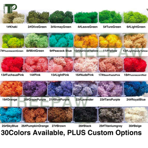 Véritable forêt <span class=keywords><strong>stabilisée</strong></span> artificielle renne irlandais conservé mousse mousse naturelle kit de bricolage mousse artisanat Art décoration murale fleuriste décor - Product Image 6