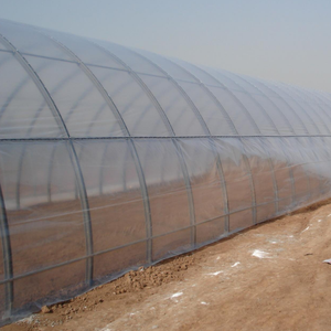 购买高品质标准透明温室塑料薄膜6密耳紫外4年90% 光反式廉价水培温室塑料薄膜 - Product Image 3