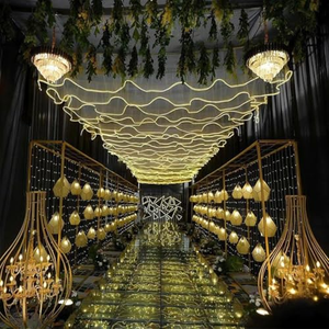 Décoration de traiteur, rideau en maille en forme de S pour mariage, bande LED, décoration lumineuse de plafond de mariage, rideaux lumineux - Product Image 4