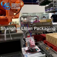 Palettiseur robotisé électrique haute vitesse, machine d'empilage automatique pour cartons/bocaux/bouteilles, emballage de vêtements