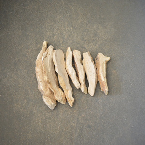 Crudos secos Laetiporus Cincinnatus pollo natural a granel de las maderas basura azufre Polypore estante para la venta - Product Image 2