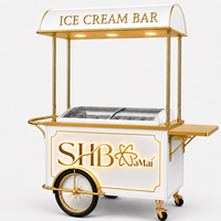 Vélo-chariot de luxe pour la vente de glaces avec congélateur de présentation, logo rétroéclairé et table latérale pliable pour la vente en extérieur et en intérieur