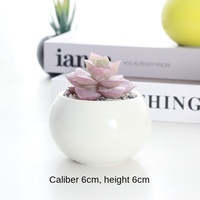 Pot de fleur moderne en céramique émaillée Petit Cactus charnu Design respirant Boule lumineuse Maison Jardin Décoration de bureau Plantes en pot