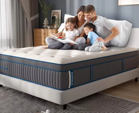 Hochwertige Luxus-Hybrid-Bettmatratze im Europäischen Stil Konvertierbare Gel-Memory-Foam-Matratze