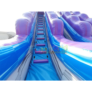 Giant outdoor kids party tobogan hinchable purple plunge <b>inflatable</b> tropical hurricane <b>water</b> <b>slide</b> with pool - Product Image 5
