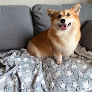 Vente en gros de nouvelle couverture super douce pour animaux de compagnie, tapis fin imprimé de patte de chien, couverture confortable pour chiot, tapis de couchage pour salon et chambre à coucher - Product Image 6