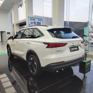 2026 GWM Haval <span class=keywords><strong>H6L</strong></span> 2.0T FWD Essence SUV de taille moyenne Jantes en alliage R19 Véhicule familial à longue base Très demandé - Product Image 3