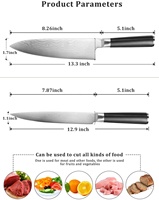 Ensemble de couteaux de chef en acier Damas classique allemand Guara Lifetime Nnew