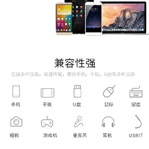 Type <b>C</b> To <b>Usb</b> <b>Adapter</b> Aluminum Alloy Mobile Phone Data Transfer Charging - Product Image 5