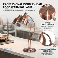 Lampe chauffante infrarouge professionnelle pour buffet et maintien au chaud des aliments, équipement de cuisine commerciale pour hôtels