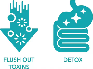 OEM ODM Fabricante Cápsulas de Limpieza de Colon Control de Peso para Quemador de Grasa Cápsulas de Pérdida de Peso Apoya el Metabolismo de Desintoxicación - Product Image 4