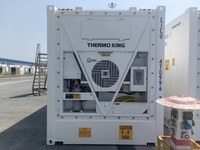 20ft Koelkast Reefer Thermo King Vriezer Container Voor Het Vervoer Van Fruit Vlees En Zeevruchten.