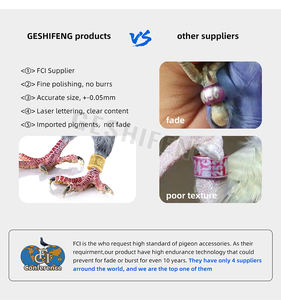 <span class=keywords><strong>Gsf</strong></span> 비둘기 반지 8.5mm 구리 새 용품 액세서리 앵무새 다리 밴드 골드 발 반지 - Product Image 6