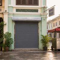 Fabricant de portes de sécurité industrielles en aluminium robustes à enroulement pour les grossistes et les devantures de magasins