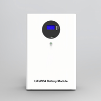 Sistema de Almacenamiento de Energía SHENGLI, Híbrido, 10-15kW, Batería de Litio LiFePO4, UPS Solar para el Hogar, Montaje en Pared, Almacenamiento de Batería CAN