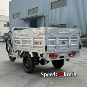 รถสามล้อแบบมีห้องโดยสาร LB-LB160GY ผลิตอย่างมืออาชีพ พร้อมมอเตอร์กำลังสูง 60V1000W - Product Image 4
