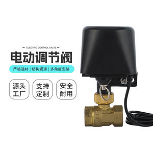 Brass Internal Thread Connection Stainless Steel Two-Way Solenoid <b>Valve</b> Switch Type Proportional Integral <b>Valve</b> <b>Control</b> <b>Valves</b> - Product Image 2