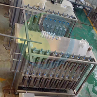 Projet clé en main de production de gluconate de sodium : Conception, installation et mise en service d'une usine de traitement industrielle