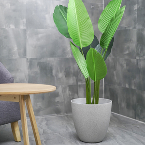 Flor florero decoración mini <span class=keywords><strong>macetas</strong></span> plastico para plantas con palo viveros planta de plástico <span class=keywords><strong>macetas</strong></span> de flores - Product Image 4