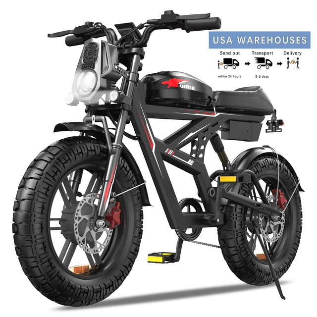Powerful Motor Fat Tire Electric Bike for Adults 48V 25Ah US Warehouse Fast Delivery Urban Adventures