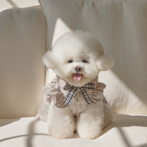 2025 sonbahar ve kış yeni iki parçalı haki yay kazak ceket + kürk eşarp kedi küçük köpek giysileri - Product Image 6