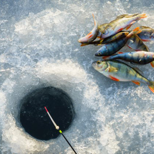 Ligne de pêche tressée en polyéthylène PE YILE Angryfish X4 Master Deep-Down, 100 m, ligne de coulée pour la pêche - Product Image 2