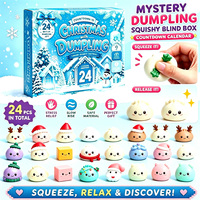 Calendrier de l'Avent Squishy de Noël 24 Boîtes Mystères en Forme de Dumpling, Jouet Anti-Stress TPR à Remontée Lente, Kawaii, Vente en Gros