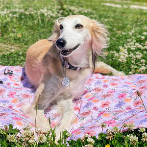 เบาะรองนอนสุนัขแบบพกพาสำหรับเดินทาง ผ้าห่มกันน้ำแบบม้วนได้ - Product Image 6