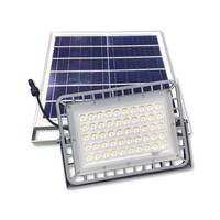 Projecteur solaire LED extérieur IP65 à prix d'usine, puissance personnalisable, panneau solaire