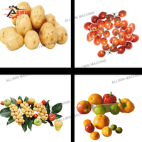 Automatische 304 roestvrijstalen fruit- en groentesorteermachine met capaciteit van 1200 kg/uur voor aardappelen ALLWIN AWFX-60