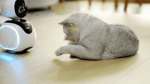 <span class=keywords><strong>Robot</strong></span> Educativo Intelligente Botnono con AI e Controllo Vocale, Giocattolo Elettronico per Studio e Interazione, Compagno per Bambini - Product Image 6