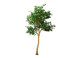 Chineses Melhores Preços Japonês Tipos Troncos de Árvore Artificial Árvore de Bordo Vermelho Para O Jardim