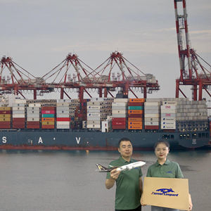 Muestra Gratuita de Transporte de Carga Puerta a Puerta, Agente de Logística de <span class=keywords><strong>Shenzhen</strong></span>, Transitario, Envío de China a Japón, Envío Fba - Product Image 5