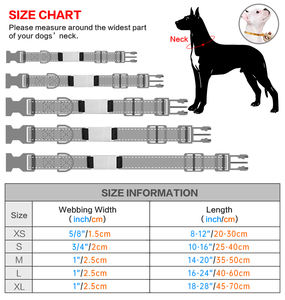 Collar reflectante <span class=keywords><strong>de</strong></span> nailon <span class=keywords><strong>para</strong></span> mascotas, productos personalizados con <span class=keywords><strong>número</strong></span> <span class=keywords><strong>de</strong></span> <span class=keywords><strong>teléfono</strong></span> y nombre, placa <span class=keywords><strong>de</strong></span> Metal, con relleno <span class=keywords><strong>de</strong></span> neopreno, venta al por mayor <span class=keywords><strong>de</strong></span> fábrica - Product Image 6