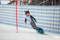 Piste de ski sèche pour centre commercial et école de ski