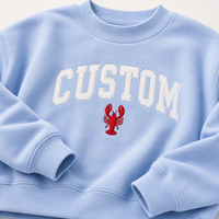 Sweat-shirt personnalisé pour femme grande taille, col rond, pull décontracté avec patch universitaire américain, logo et motif brodés sur mesure