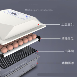 Incubateur entièrement automatique intelligent pour poussins, <span class=keywords><strong>semis</strong></span>, canards, oies, incubateur domestique, incubateur pour pigeons, perroquets, fabricant <span class=keywords><strong>d</strong></span>'œufs - Product Image 3