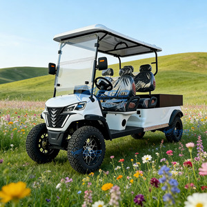 Carrito de Golf Eléctrico de Alta Capacidad con Batería de Litio de 72V, 4 Plazas, Color Blanco, Homologado para Circular por la Calle, Tracción 4x4, con una Autonomía de Más de 100 km, en Venta, Modelo 2025 - Product Image 1