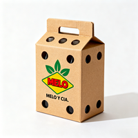 Boîte en carton ondulé portable, écologique, biodégradable, recyclable, sac de shopping, emballage cadeau, laminage mat