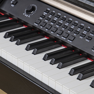 <b>Keyboard</b> Musical <b>Instruments</b> 88 Standard Hammer <b>Keyboard</b> Upright Digital Piano - Product Image 4